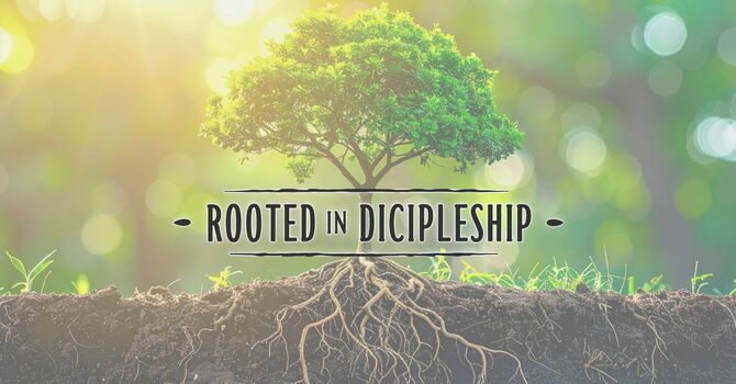 Environments Where Grace Grows image