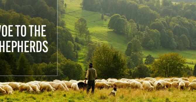 Worship Bulletin - November 23, 2025 image