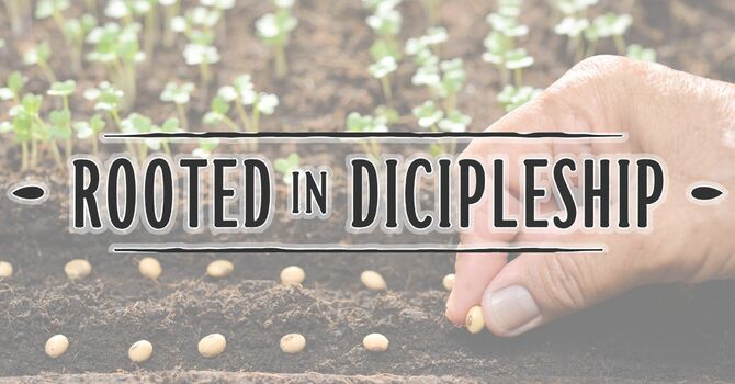 Planted By Grace image