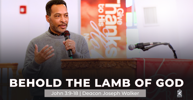 Behold the Lamb of God