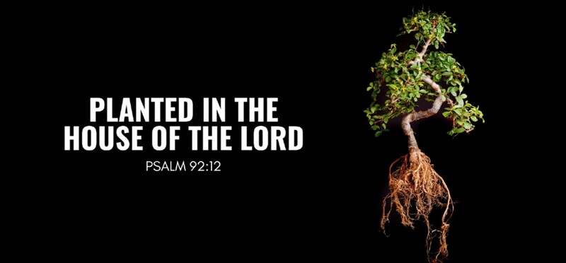 Mark Meeske - Sunday Morning