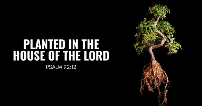 Mark Meeske - Sunday Morning