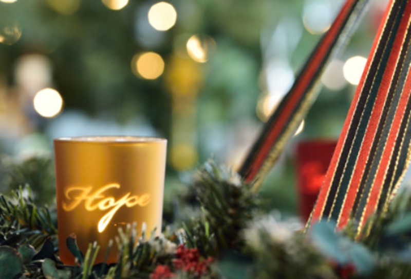 The Promise Of Jesus' Coming