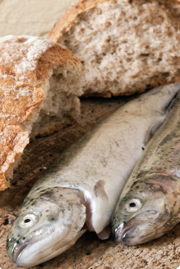 Please Turn In Pledges!