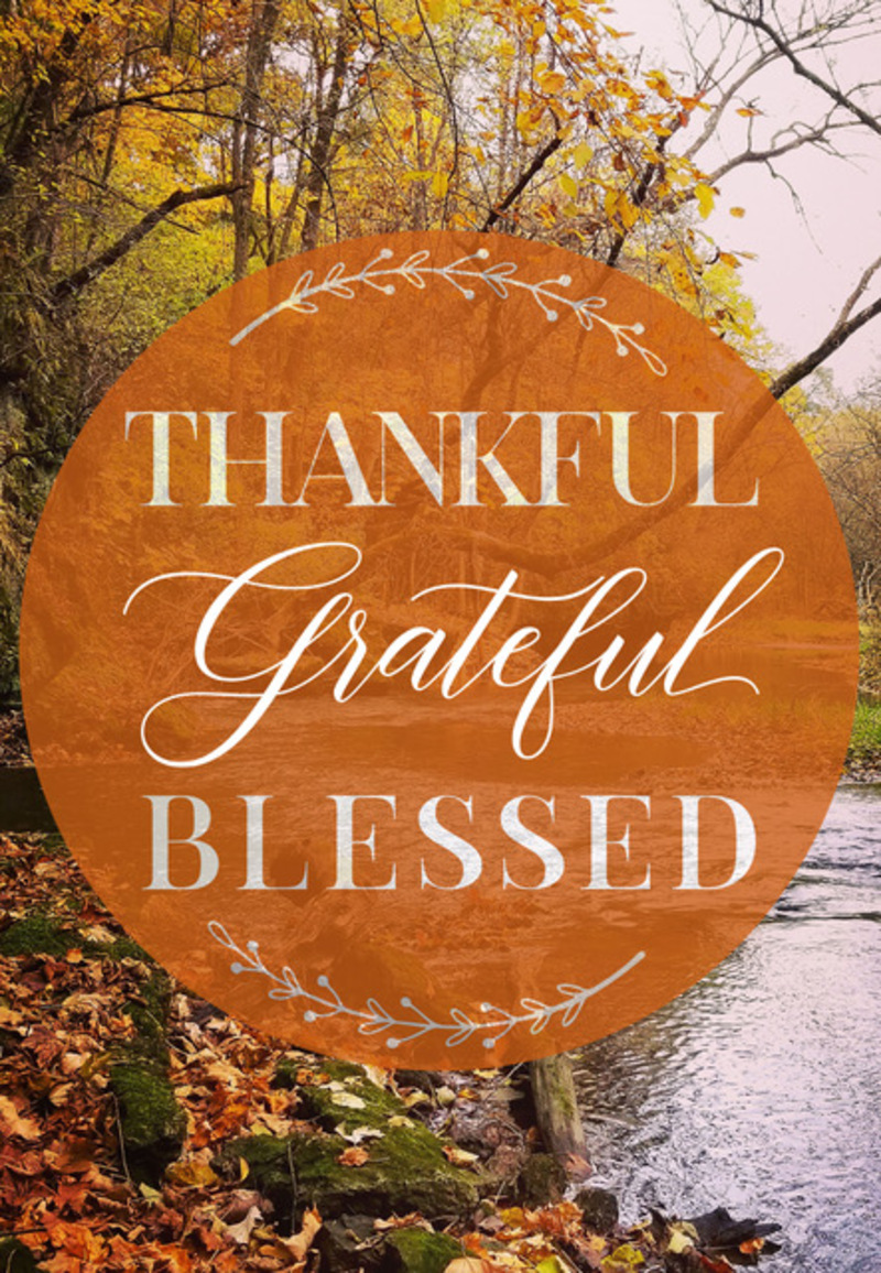 Sunday Nov 11th, 2025