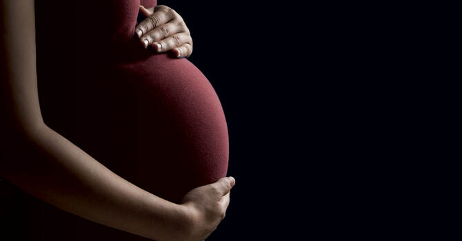 The Seed of the Woman image