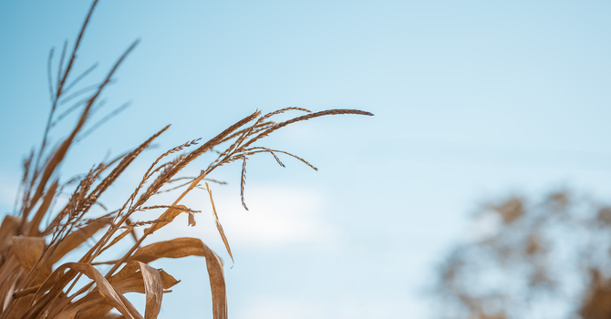 Pastor And Wife Appreciation Sunday - 2025