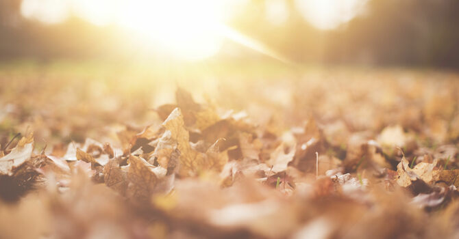 A Note from Pastor Madeline image