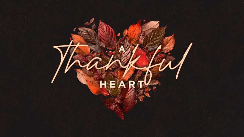 Thankful for a Mission That Matters