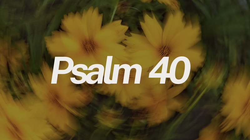 Psalm 40
