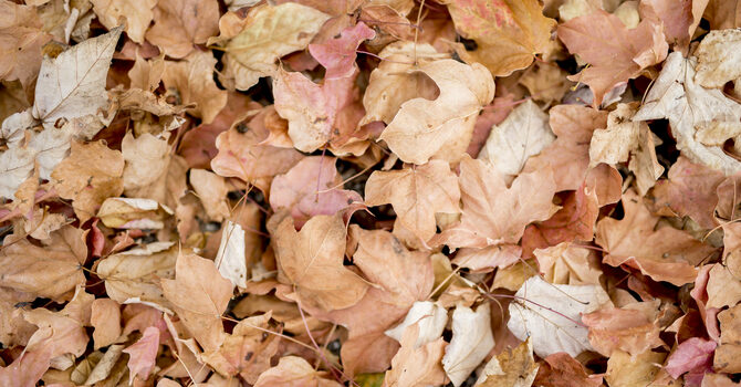 November Highlights! image