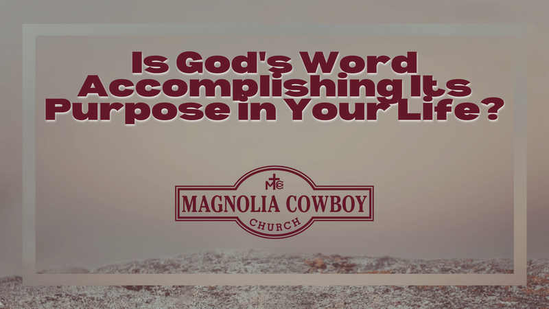 The Seed and The Soil