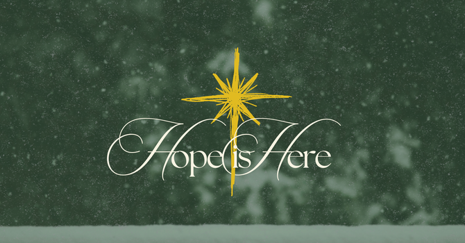 Hope In The Wilderness