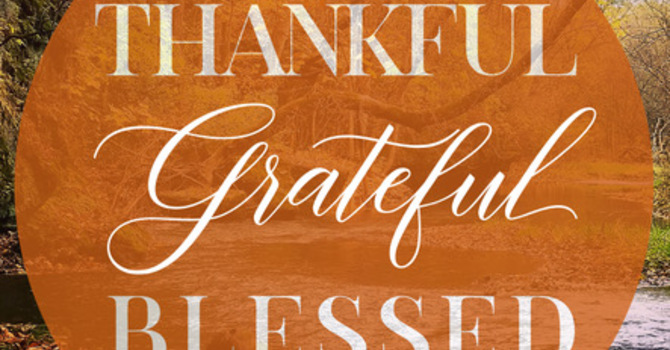 Sunday Nov 11th, 2025