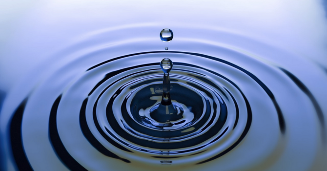 Searching for Sunday