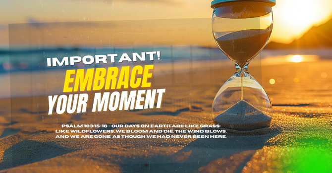 Embrace Your Moment:  image