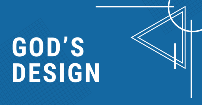 God's Design
