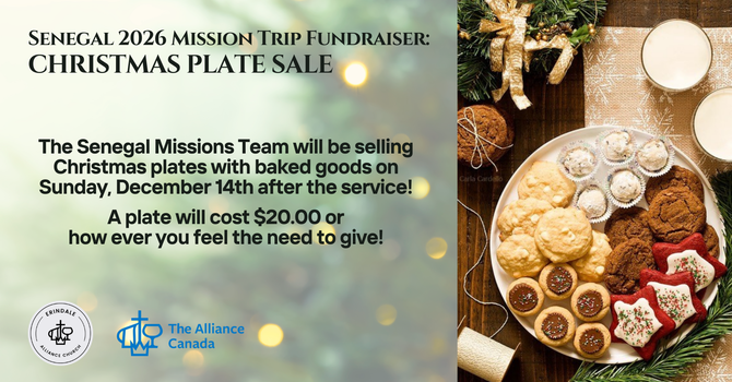 Christmas Plate Sale image