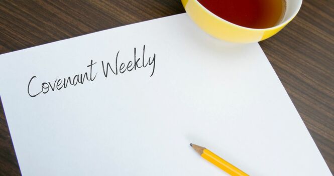 Season 5 - Episode 14