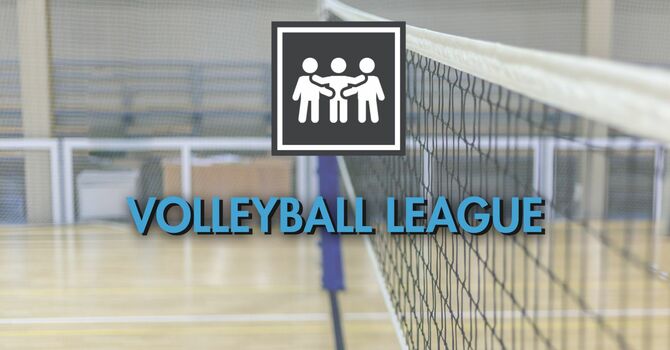Volleyball Group