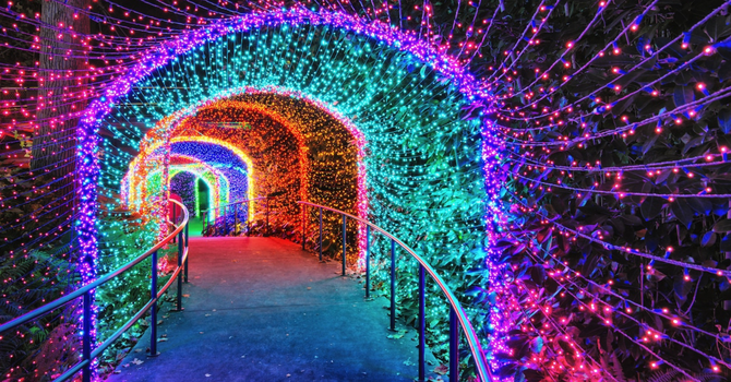 Botanical Gardens Lights "Student Ministry"