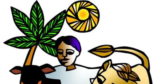 (upcoming) Second Sunday of Advent