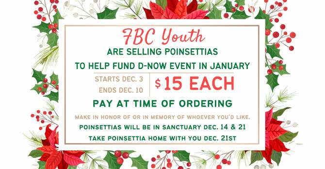 Poinsettia Sale