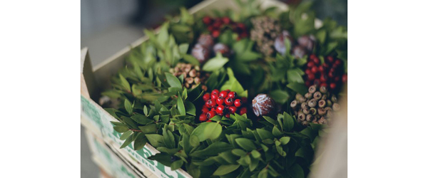 Advent & Christmas Flower Dedications