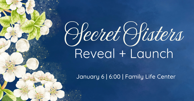 Secret Sisters' Reveal and Launch