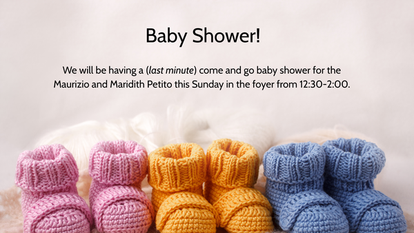 Baby Shower for the Petito's!