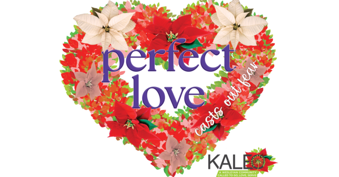 A Savior We Can Trust