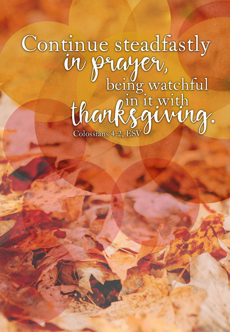 "One Salty Solution"