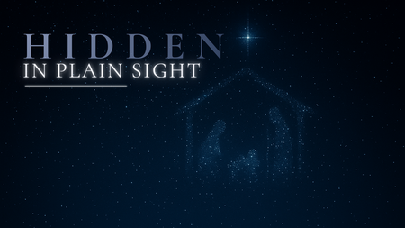 Hidden In Plain Sight