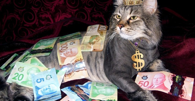 Saving Power, Understanding Power image