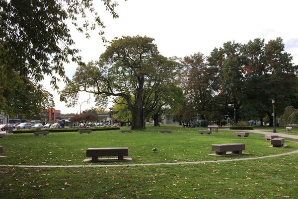 National Day of Remembrance and Action on Violence Against Women