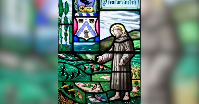 Sermon for Harvest Thanksgiving