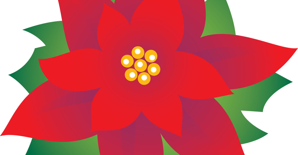 Pointsettia Orders Due