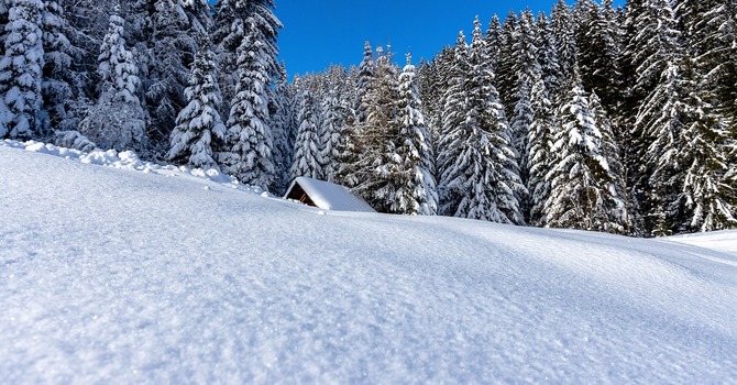 December 2, 2025 Devotion image