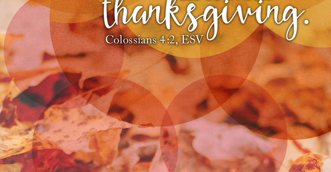 "One Salty Solution"