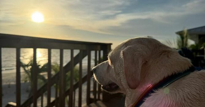 A Note from Pastor Madeline image