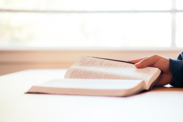 Top Bible Reading Plans for 2025