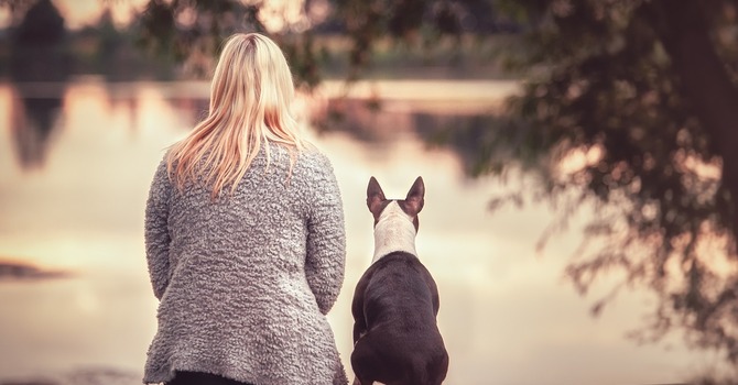 Nothing to Fear image