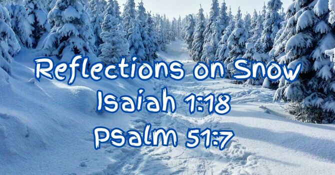 Reflections on Snow  image