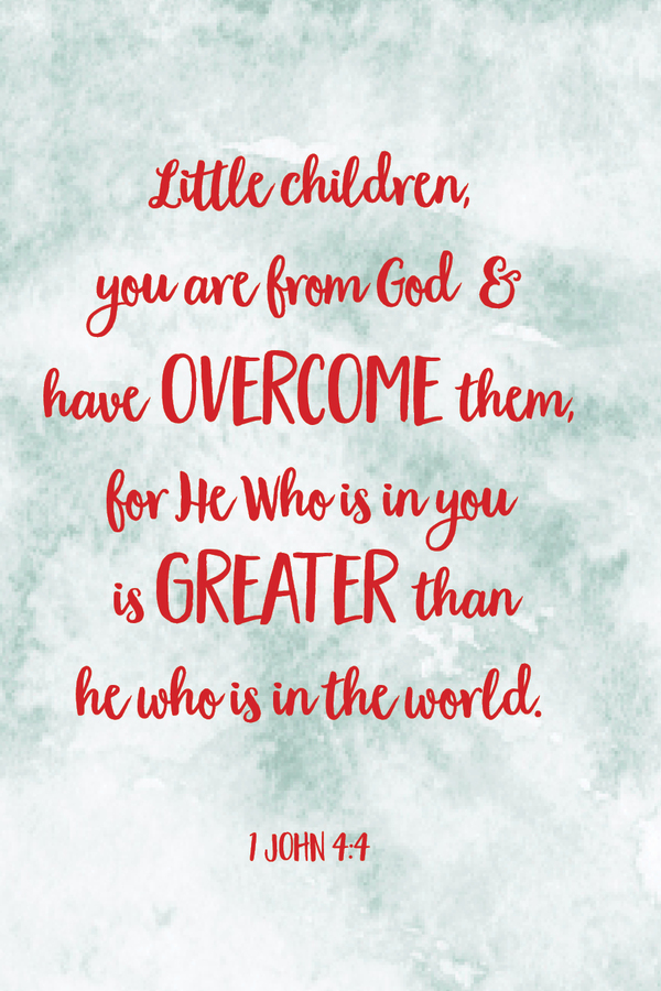 Fighter Verse | December 1, 2025