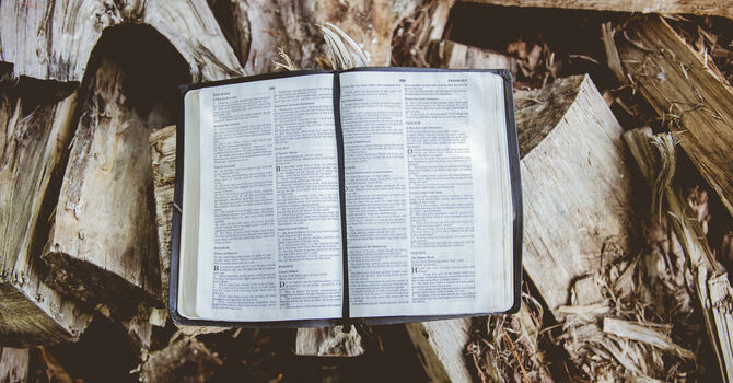 What's in a Name? image