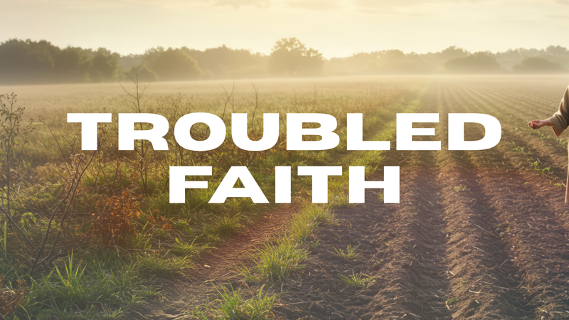 Troubled Faith
