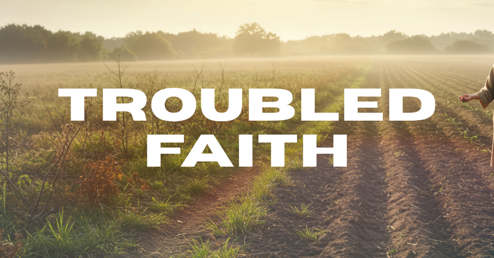 Troubled Faith