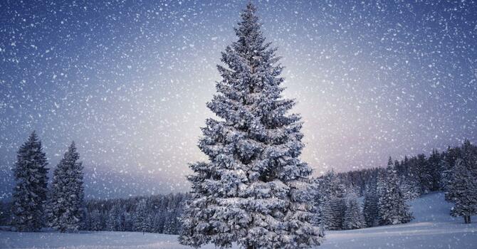 Thanksgiving & Advent