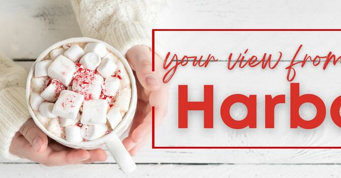 December 2025 newsletters