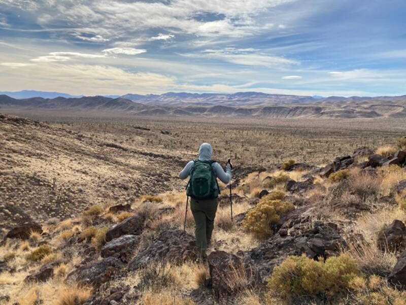 Wisdom From The Wilderness?